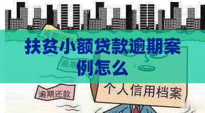 扶贫小额贷款逾期案例怎么