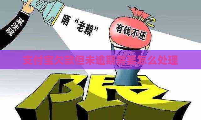 支付宝欠款但未逾期需要怎么处理