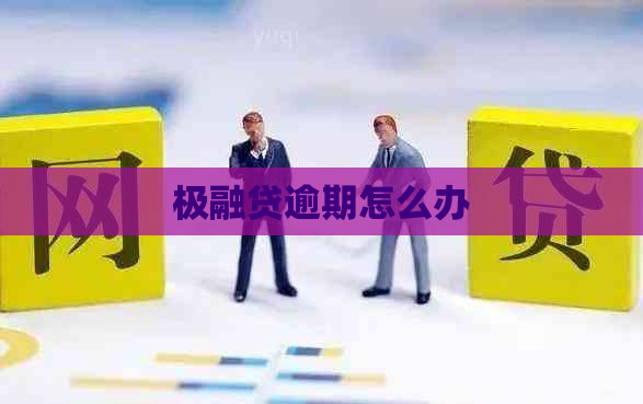 极融贷逾期怎么办