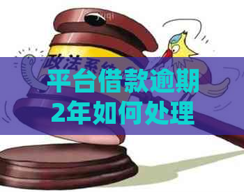 平台借款逾期2年如何处理