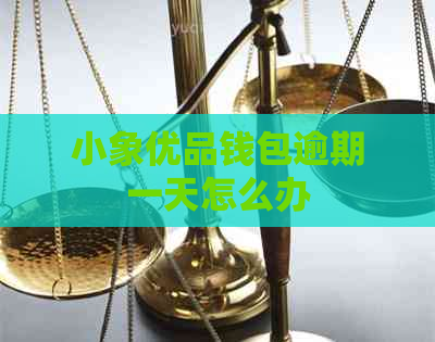 小象优品钱包逾期一天怎么办