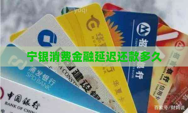 宁银消费金融延迟还款多久