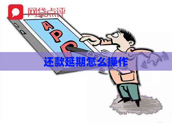 还款延期怎么操作