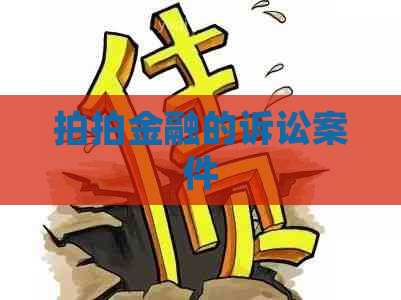拍拍金融的诉讼案件