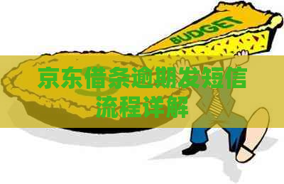 京东借条逾期发短信流程详解