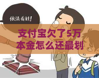 支付宝欠了5万本金怎么还最划算
