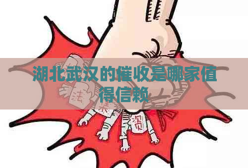 湖北武汉的是哪家值得信赖
