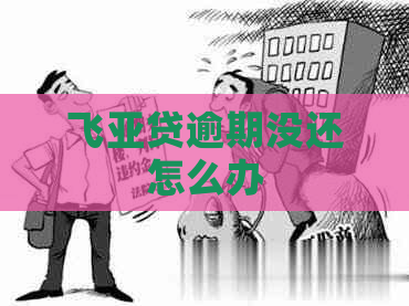 飞亚贷逾期没还怎么办