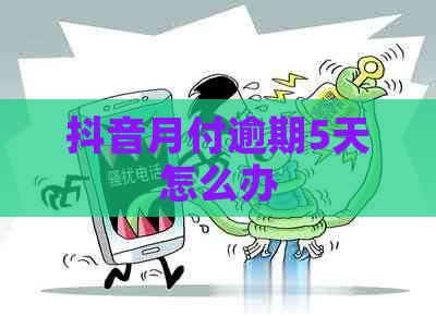 抖音月付逾期5天怎么办