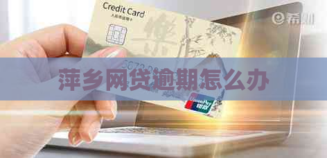 萍乡网贷逾期怎么办
