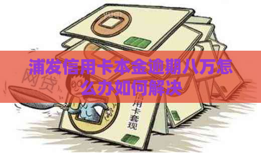 浦发信用卡本金逾期八万怎么办如何解决