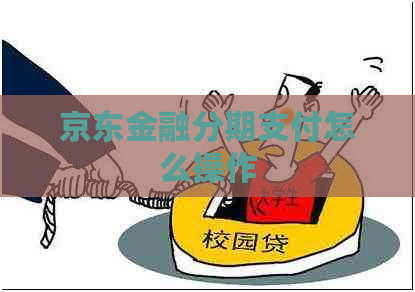 京东金融分期支付怎么操作