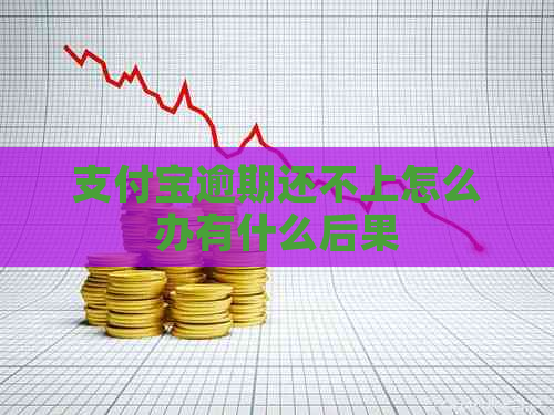 支付宝逾期还不上怎么办有什么后果