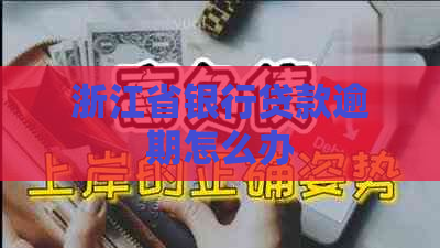 浙江省银行贷款逾期怎么办