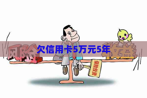 欠信用卡5万元5年
