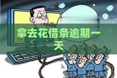 拿去花借条逾期一天
