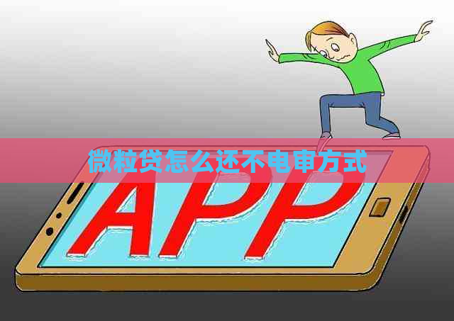 微粒贷怎么还不电审方式