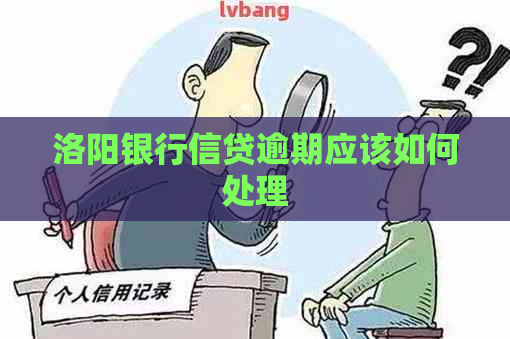 洛阳银行信贷逾期应该如何处理