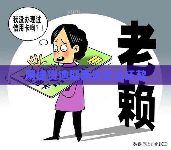 网捷贷逾期两天怎么还款