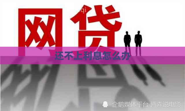 还不上利息怎么办