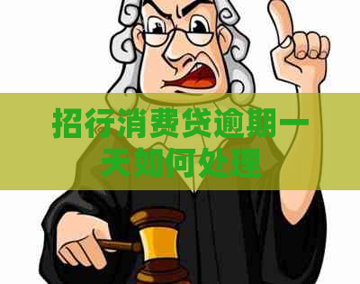 招行消费贷逾期一天如何处理