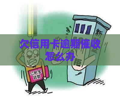 欠信用卡逾期怎么办