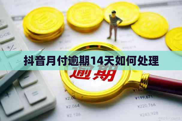 抖音月付逾期14天如何处理