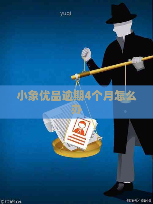 小象优品逾期4个月怎么办