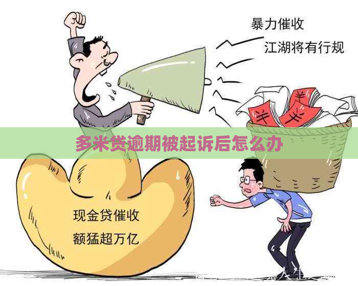 多米贷逾期被起诉后怎么办