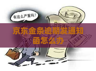 京东金条逾期发通知函怎么办