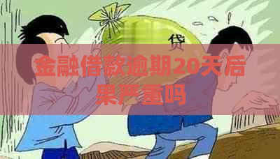 金融借款逾期20天后果严重吗