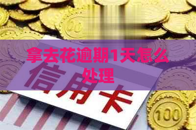 拿去花逾期1天怎么处理