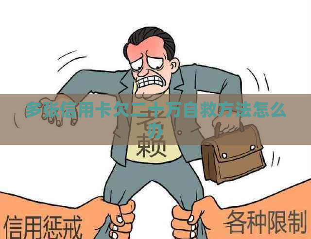 多张信用卡欠二十万自救方法怎么办