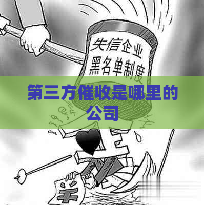 第三方是哪里的公司