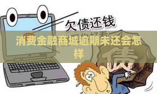消费金融商城逾期未还会怎样