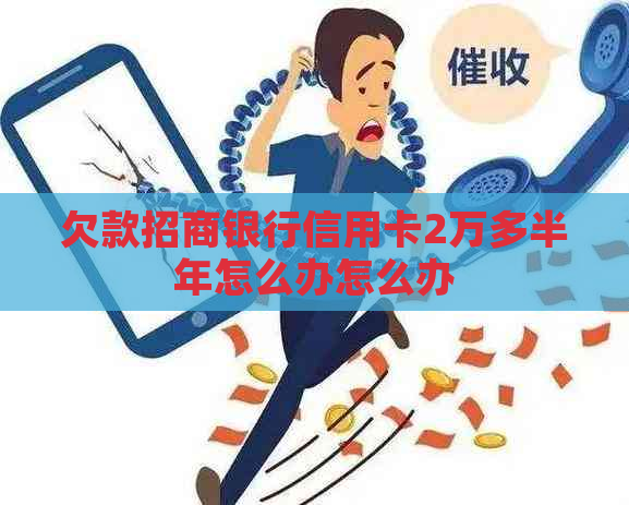 欠款招商银行信用卡2万多半年怎么办怎么办