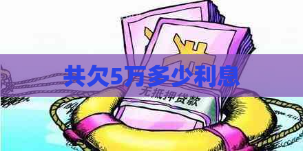共欠5万多少利息