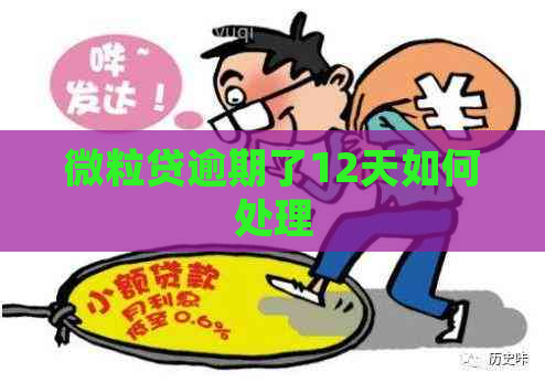 微粒贷逾期了12天如何处理
