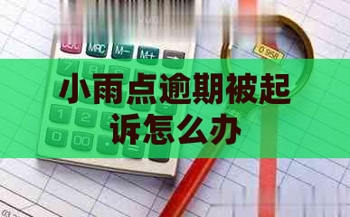 小雨点逾期被起诉怎么办