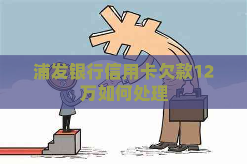 浦发银行信用卡欠款12万如何处理