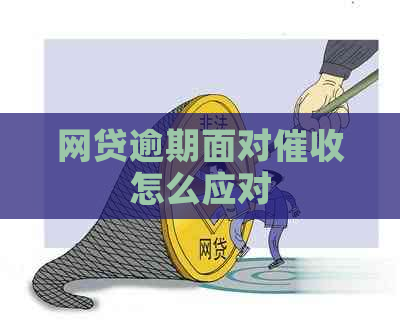 网贷逾期面对怎么应对
