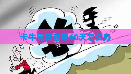 卡牛瑞贷逾期60天怎么办