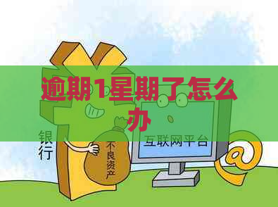 逾期1星期了怎么办