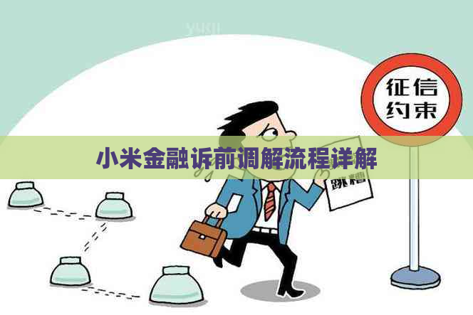 小米金融诉前调解流程详解