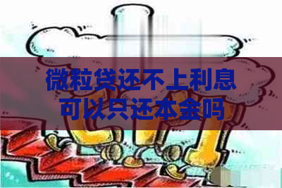 微粒贷还不上利息可以只还本金吗