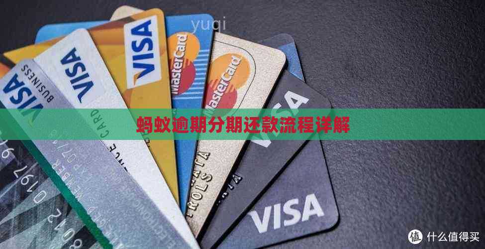 蚂蚁逾期分期还款流程详解