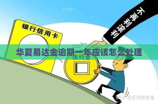 华夏易达金逾期一年应该怎么处理