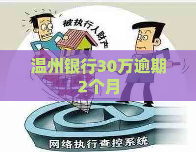 温州银行30万逾期2个月