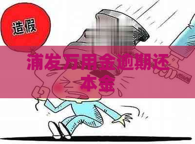 浦发万用金逾期还本金