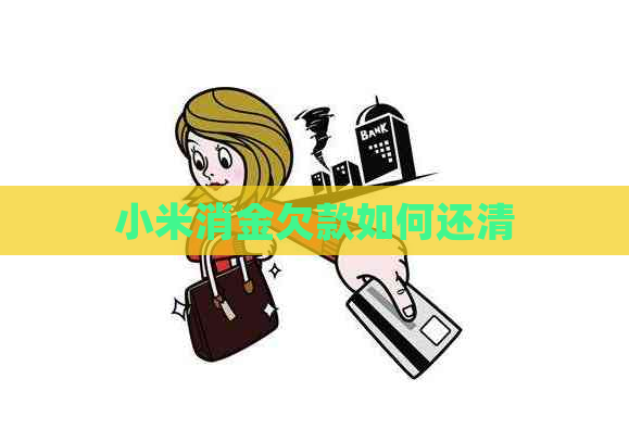 小米消金欠款如何还清